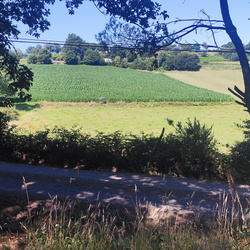 21-07-31 Camino Primitivo